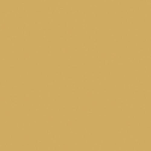 Curry 11,5x11,5
